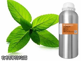 YS垣鑫有機(jī)薄荷純露批發(fā)廠(chǎng)家加工化妝品oem