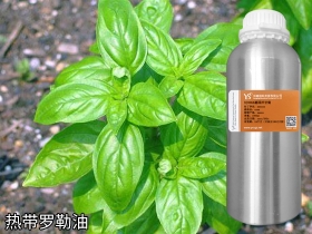 YS熱帶羅勒油 | 帶八角香氣的香水常用原料，也是消炎止痛抑菌能手